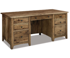 Dover Desk - Finished Back