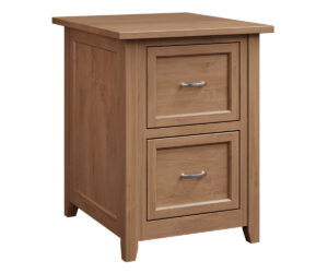 Premier 2 Drawer File