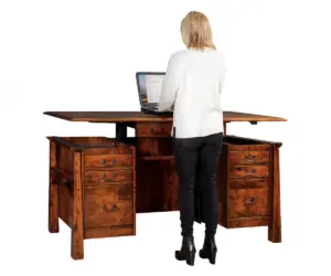 Artesa Sit to Stand Curved Top Desk