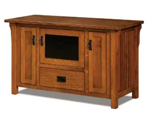 Camden Mission Plasma Stand